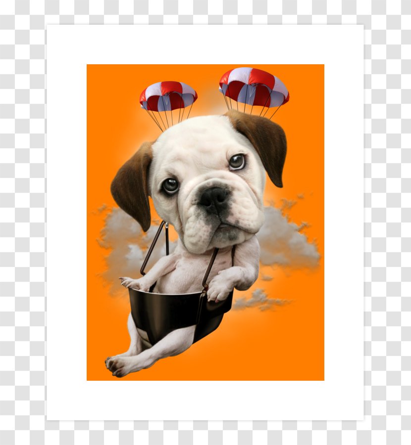 Dog Breed Boxer Puppy Bulldog Non-sporting Group - Parachuting Transparent PNG