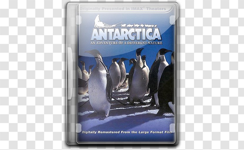 Penguin Antarctica Adventure Film - Fat Sick And Nearly Dead Transparent PNG
