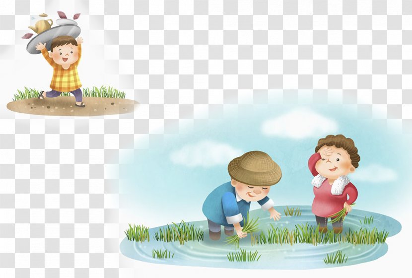 Paddy Field Illustration - Vector Transparent PNG