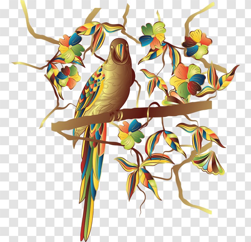 Bird - Common Pet Parakeet - Parrot Transparent PNG