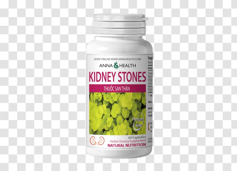 Dietary Supplement Kidney Stone Medicine Health Acupuncture Transparent PNG