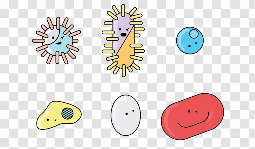 Bacteria Flagellum Antimicrobial Resistance 16S Ribosomal RNA Clip Art - Number - Cartoon Child Transparent PNG