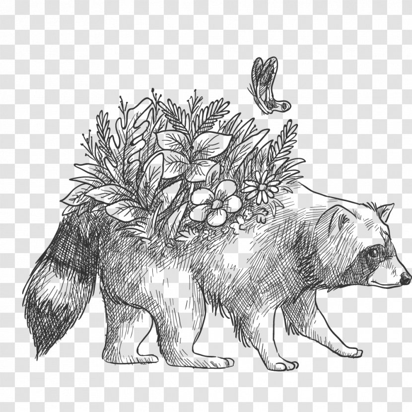 Raccoon Red Panda Image Drawing Coloring Book - Tree - Bear Design Element Transparent PNG