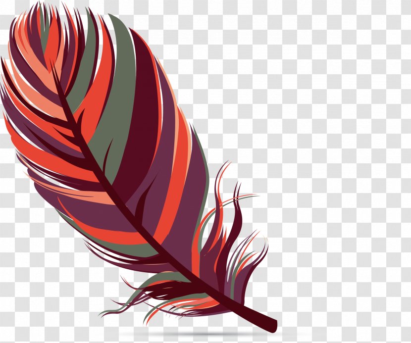 Bird Feather - Color - Red Transparent PNG
