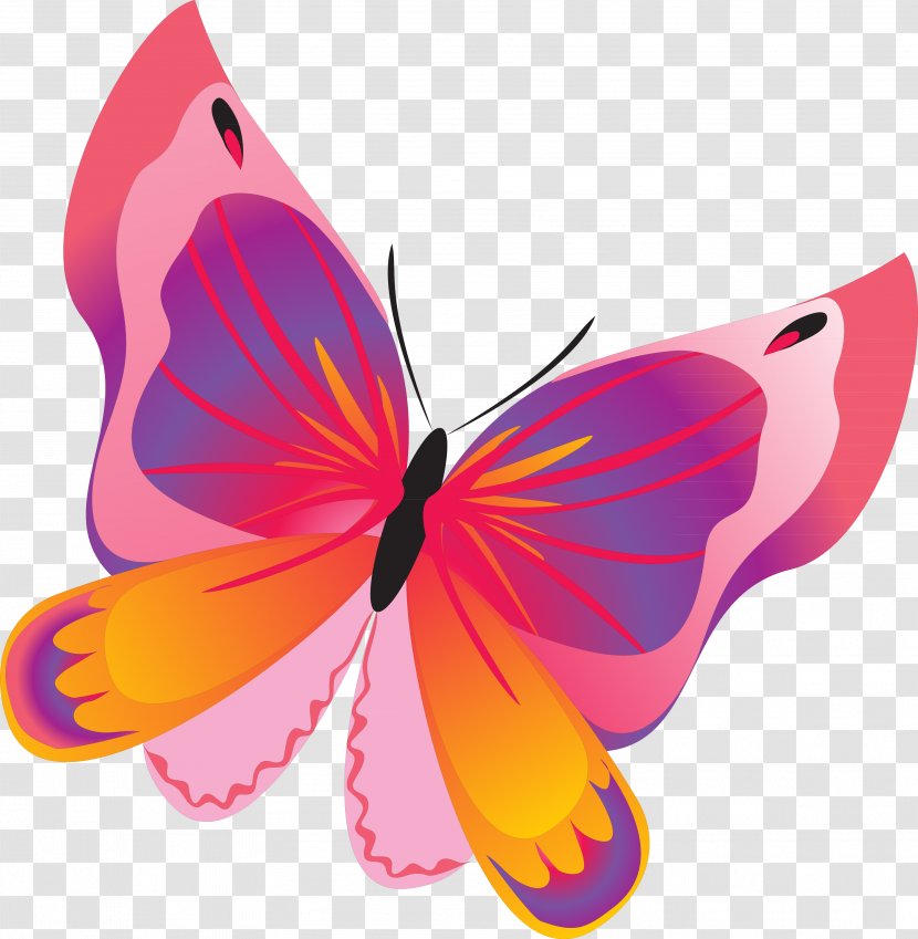 Butterflies And Moths Brothers Grimm Yandex Search Clip Art - Brush Footed Butterfly - Red Transparent PNG