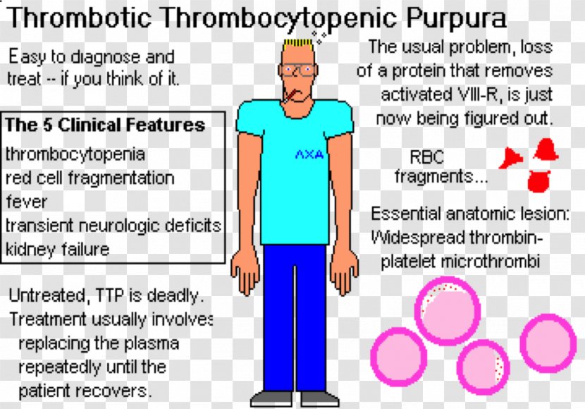 Thrombotic Thrombocytopenic Purpura Immune Thrombocytopenia Hemolytic-uremic Syndrome - Flower - Platelet Transparent PNG