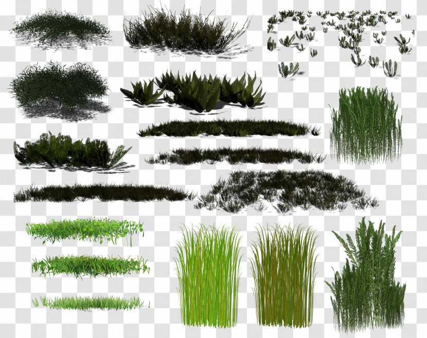 Clip Art - Megabyte - Grass Transparent PNG