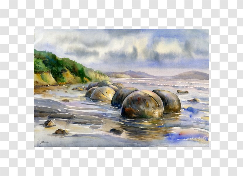 Watercolor Painting Art Moeraki Boulders Beach - Coast Transparent PNG