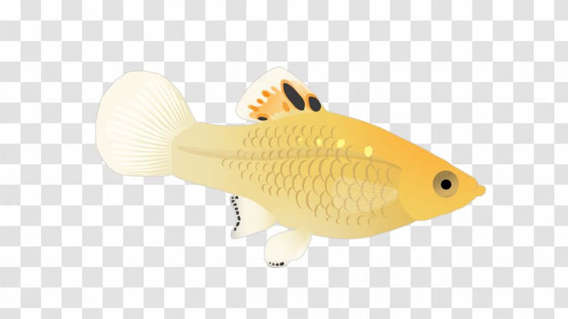 Fish - Illustration Transparent PNG