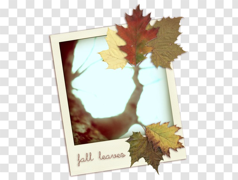 Digital Image Download - Illustrator - Autumn Invitation Card Multicolor Transparent PNG