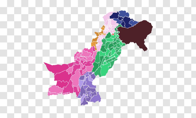 Flag Of Pakistan Map Transparent PNG