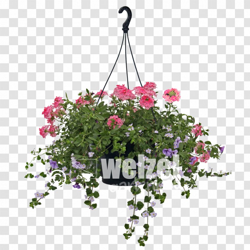 Vervain Floral Design Flowerpot - Flora - Flower Transparent PNG