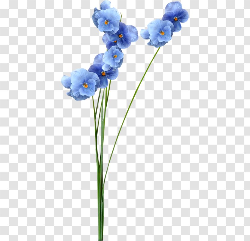 Blue Computer Software Download Clip Art - Flower - Plant Stem Transparent PNG