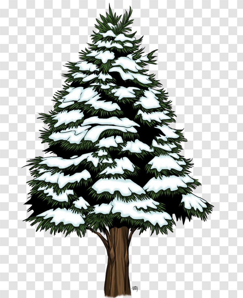 Spruce Fir Pine Christmas Tree Ornament - Family Transparent PNG
