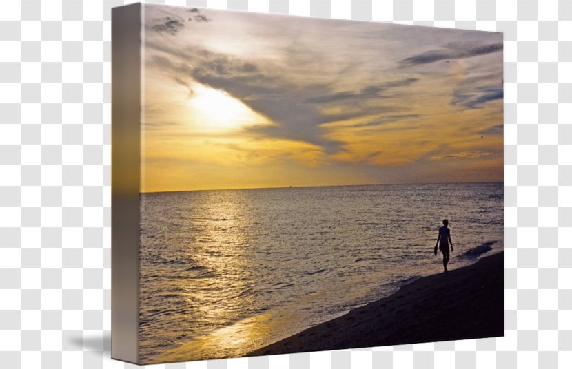 Sea Stock Photography Heat Vacation - Beach Sunset Transparent PNG