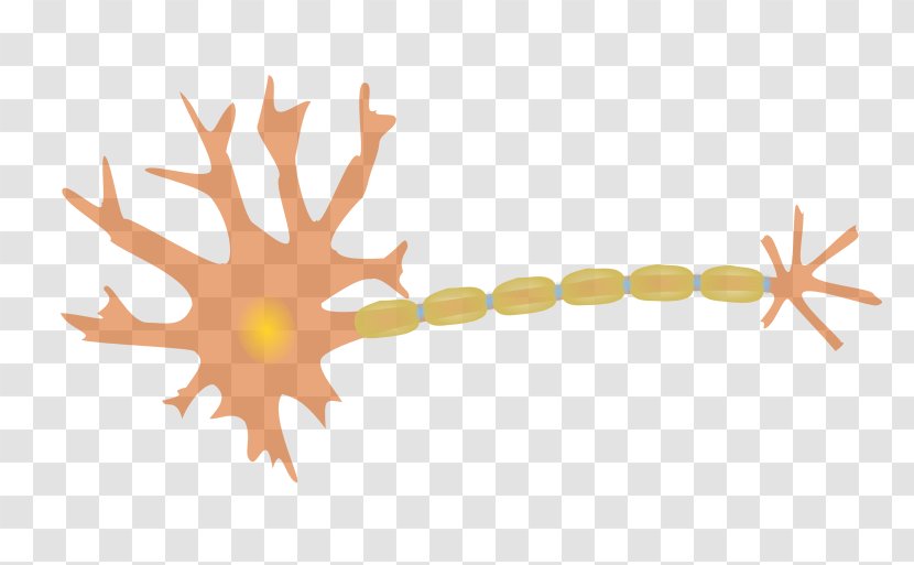 Neuron Nervous System Cell Nerve Clip Art - Hand Transparent PNG