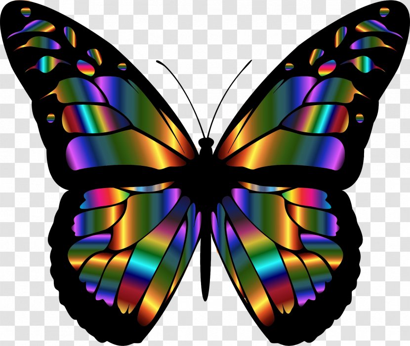 Monarch Butterfly Insect Clip Art - Moths And Butterflies Transparent PNG