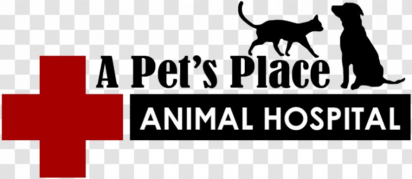 A Pet's Place Animal Hospital Primeau Joan R DVM Veterinarian Cat Dog - Vet Clinic Transparent PNG