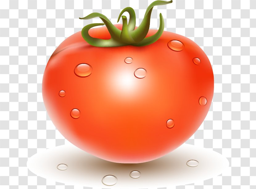 Plum Tomato Juice Cherry Bush Transparent PNG