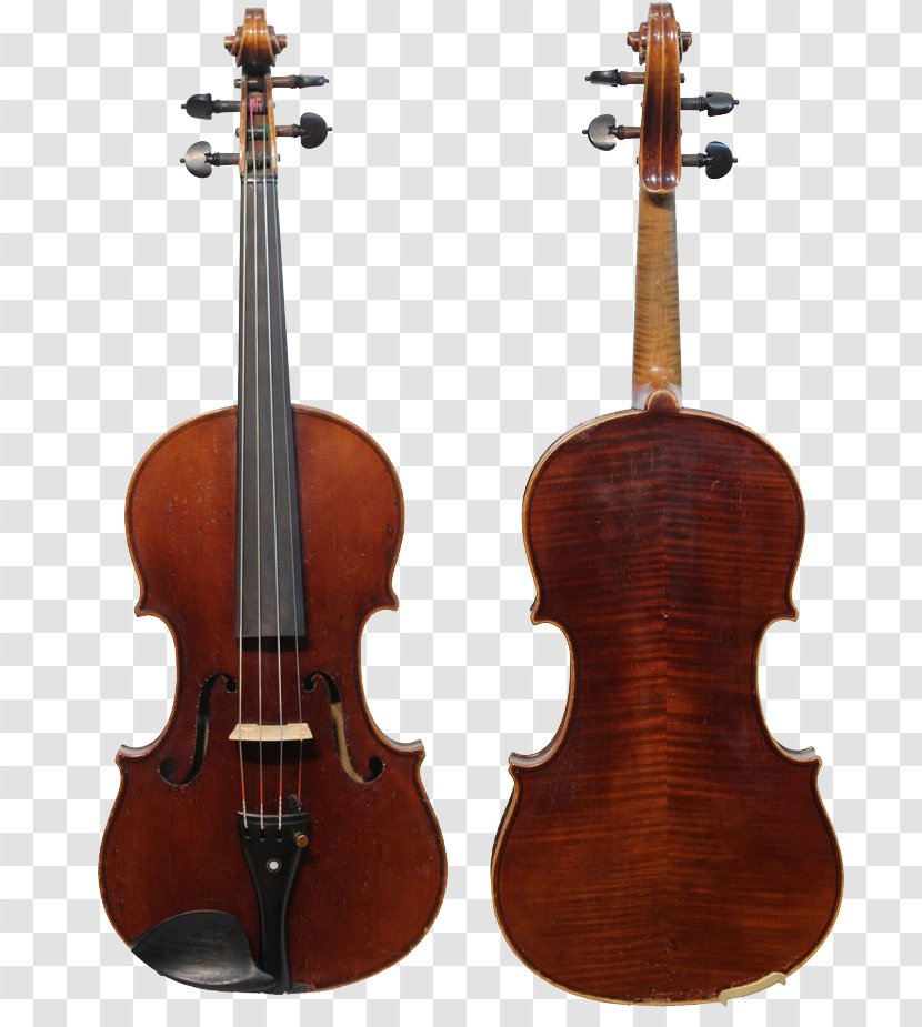 Stradivarius Violin Amati Cello String Instruments - Player Transparent PNG