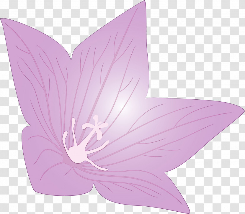 Lavender Transparent PNG