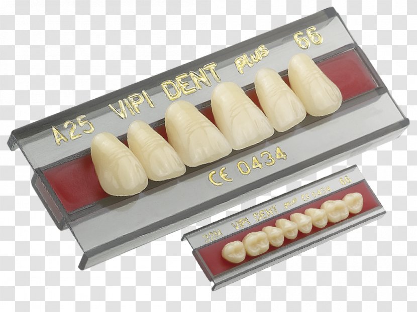 Tooth Dentures Dentistry Prosthesis - Human - Crown Transparent PNG