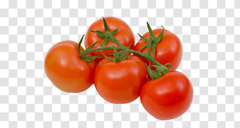 Plum Tomato Bush Vegetable Food Roma - Paste Transparent PNG