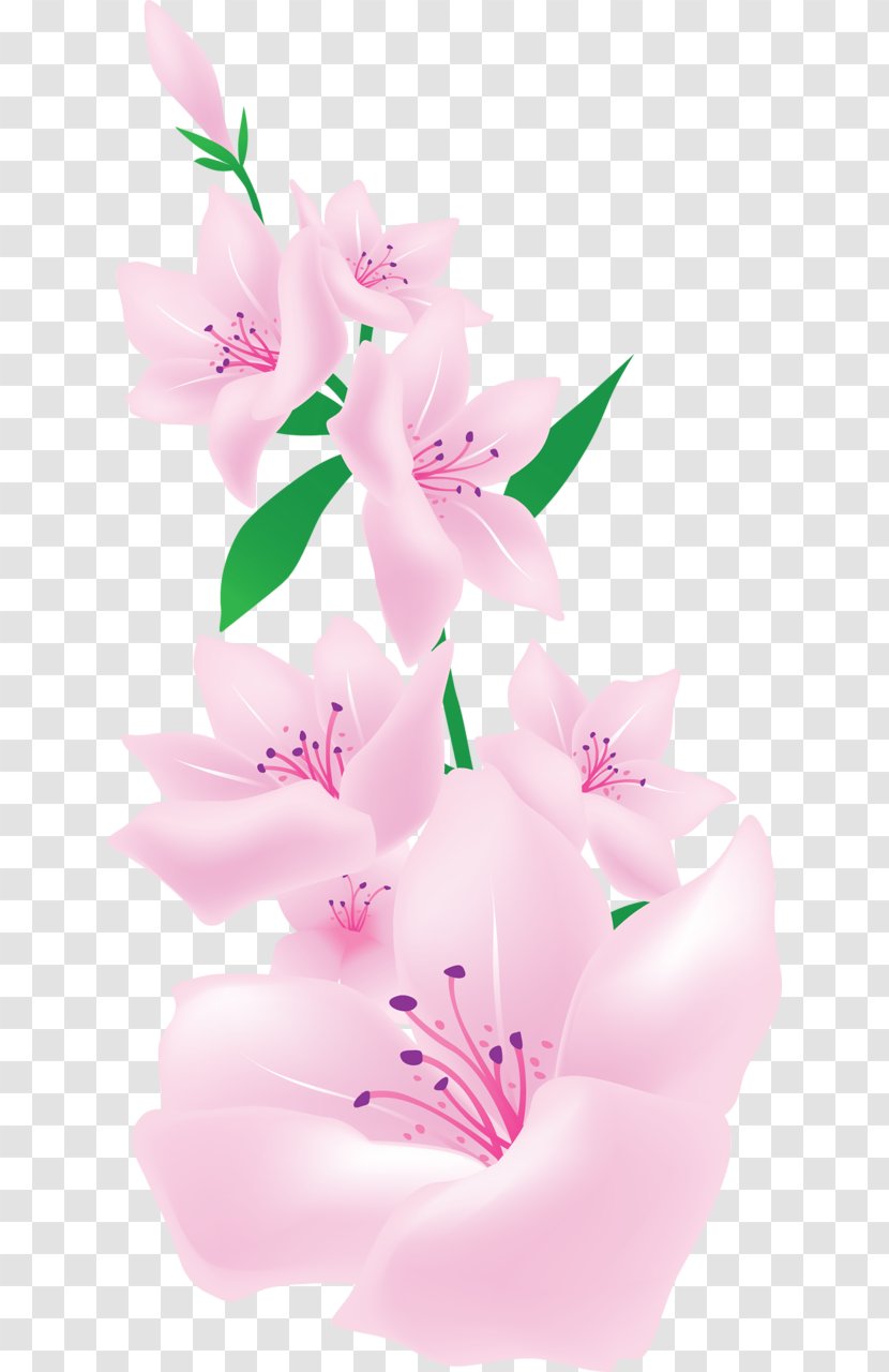 Pink Flowers Clip Art - Rose Family - Light Transparent PNG