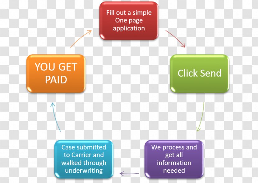 Perception Emotion Thought Decision-making PFL 2 - Text - Quick Processing Transparent PNG