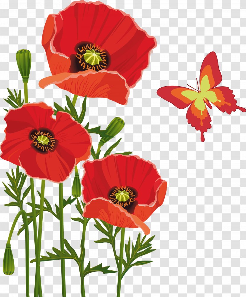 Poppy Flower Bouquet Butterfly - Royaltyfree - Poppies Transparent PNG