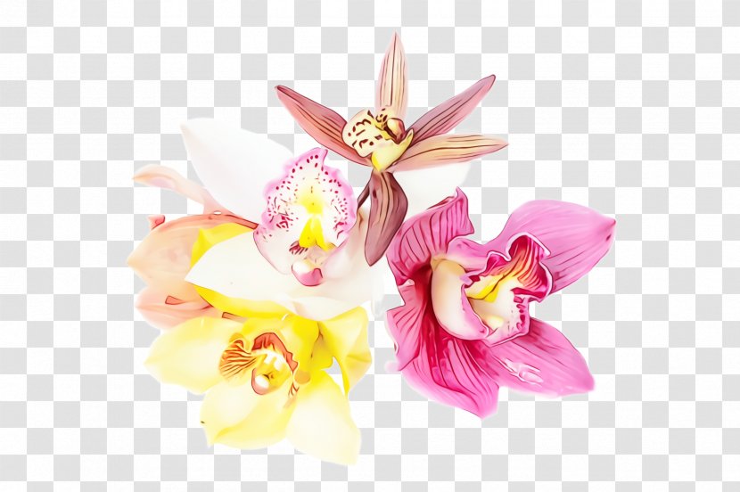 Artificial Flower - Paint - Cattleya Transparent PNG