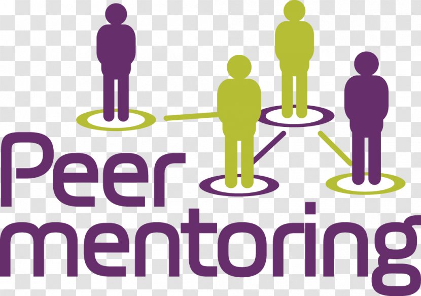 Mentorship Peer Mentoring Career Student Information - Presentation Transparent PNG