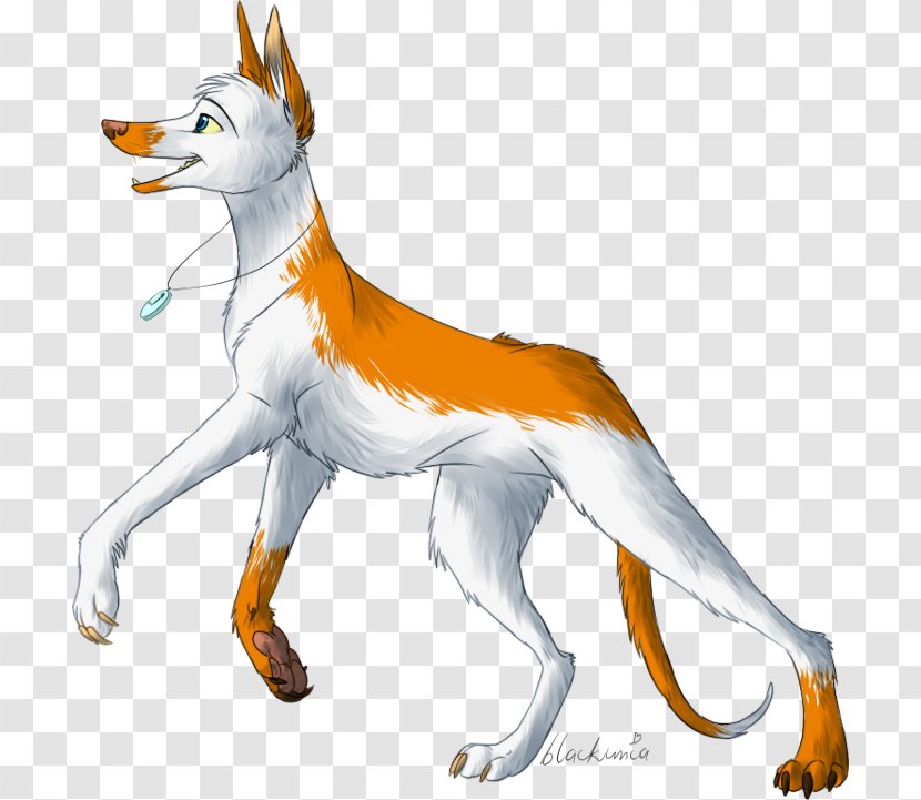 Dog Breed Red Fox Tail Wildlife - Group Transparent PNG