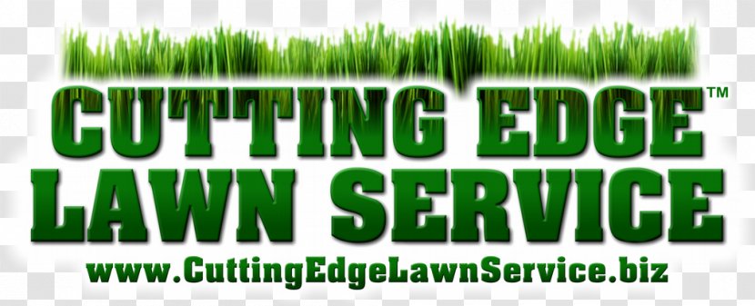 Wheatgrass Logo Lawn Green Font - Grass - Professional Flyers Transparent PNG