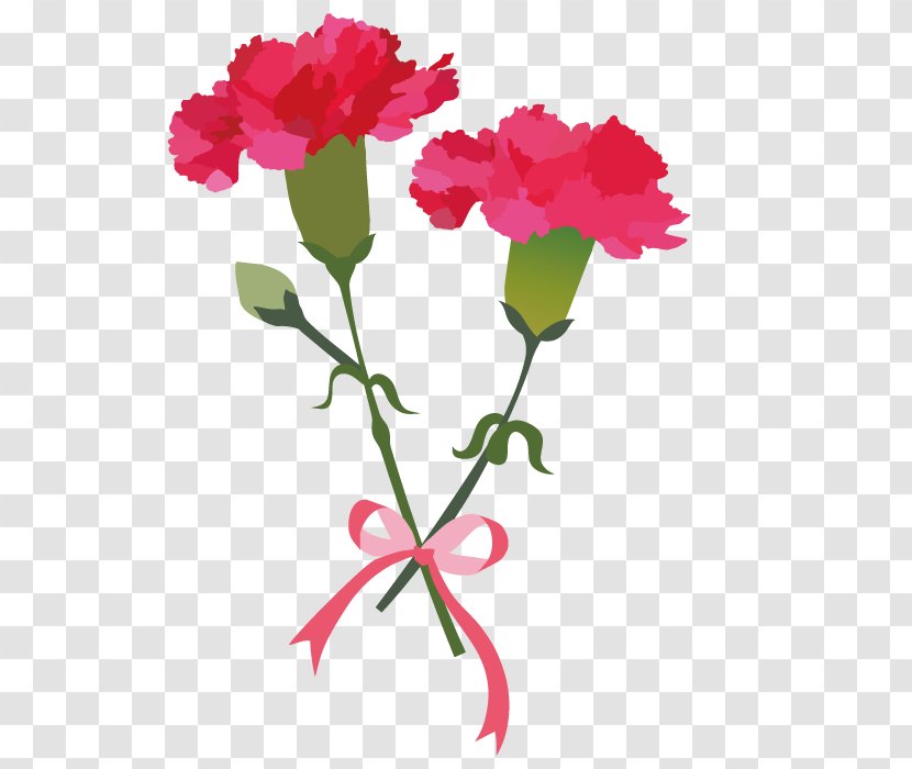 Carnation Flower For Mothers Day. - Flora - Plant Stem Transparent PNG