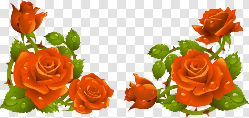 Rose Flower Clip Art - Arranging Transparent PNG