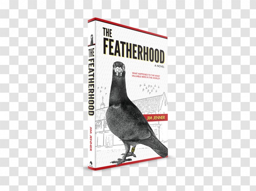 Racing Homer The Featherhood Columbidae Homing Pigeon Book - Author Transparent PNG