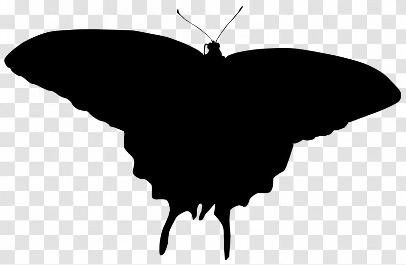 Brush-footed Butterflies Moth Clip Art Silhouette - Swallowtail Butterfly Transparent PNG