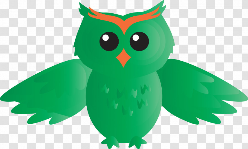Owl Green Bird Bird Of Prey Eastern Screech Owl Transparent PNG
