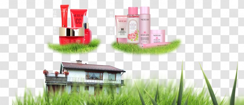 Lawn House Grass Gratis - Resource - Products Transparent PNG