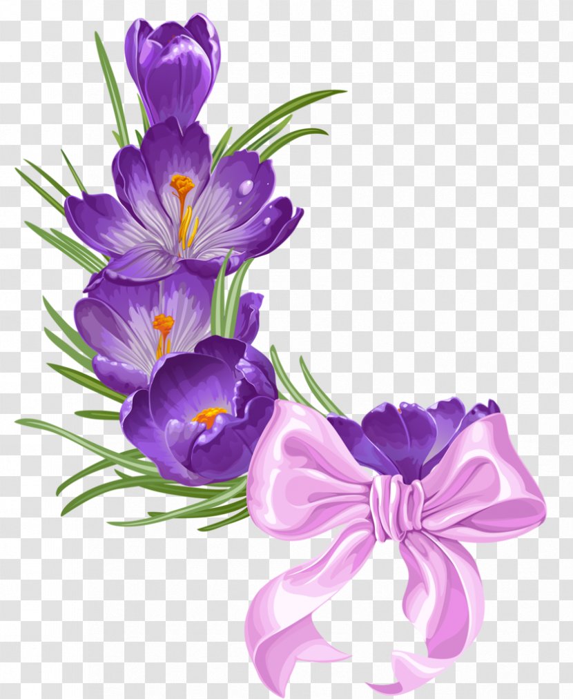 Cut Flowers Floral Design Violet Purple - Iris Family - Flower Transparent PNG