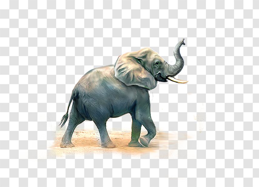 African Elephant Indian - Wildlife Transparent PNG