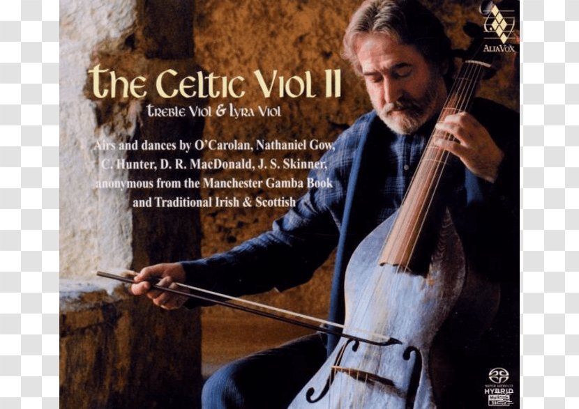 Violone Violin Cello Viola Double Bass - Frame Transparent PNG