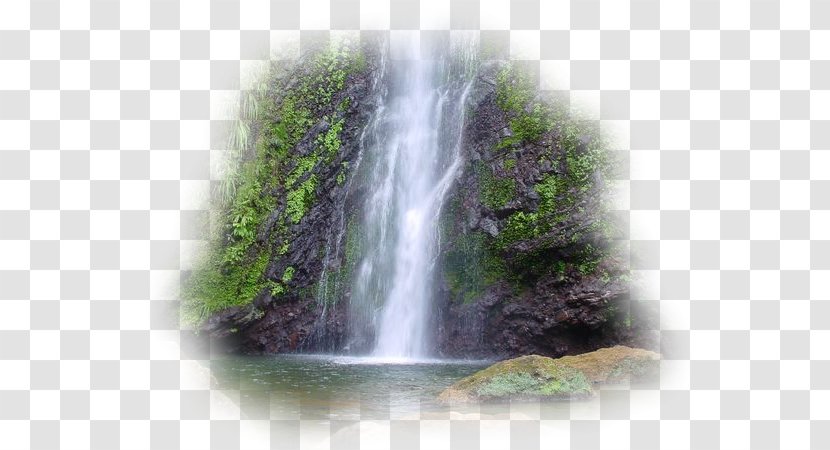 Waterfall Capesterre-Belle-Eau Les Fruits De Goyave Eau Garden - Chute - Water Transparent PNG