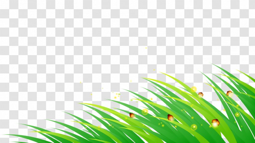 Hand-painted Grass - Leaf - Firefly Transparent PNG