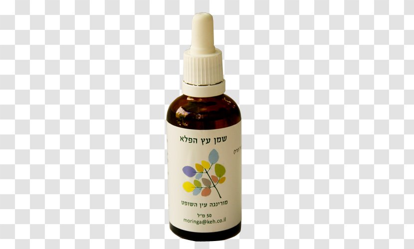 Drumstick Tree Oil Behenic Acid Liquid Plant - Disease - Body Massage Transparent PNG
