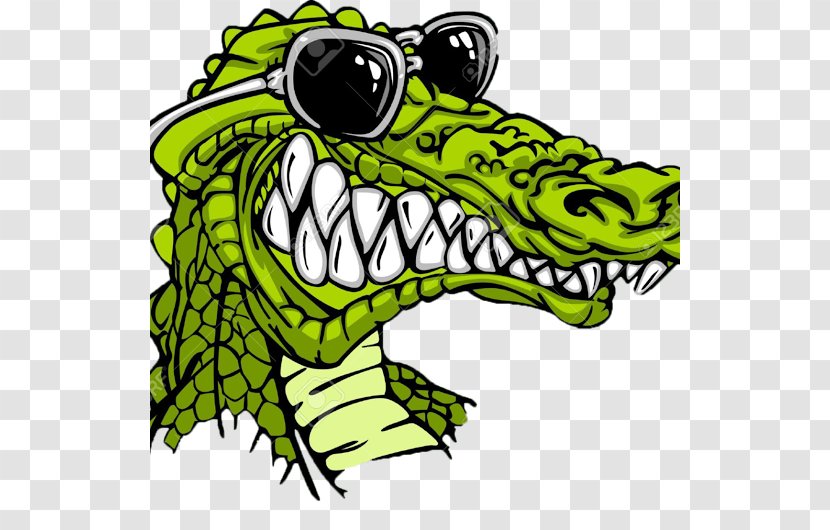 Crocodile American Alligator Cartoon - Fauna Transparent PNG