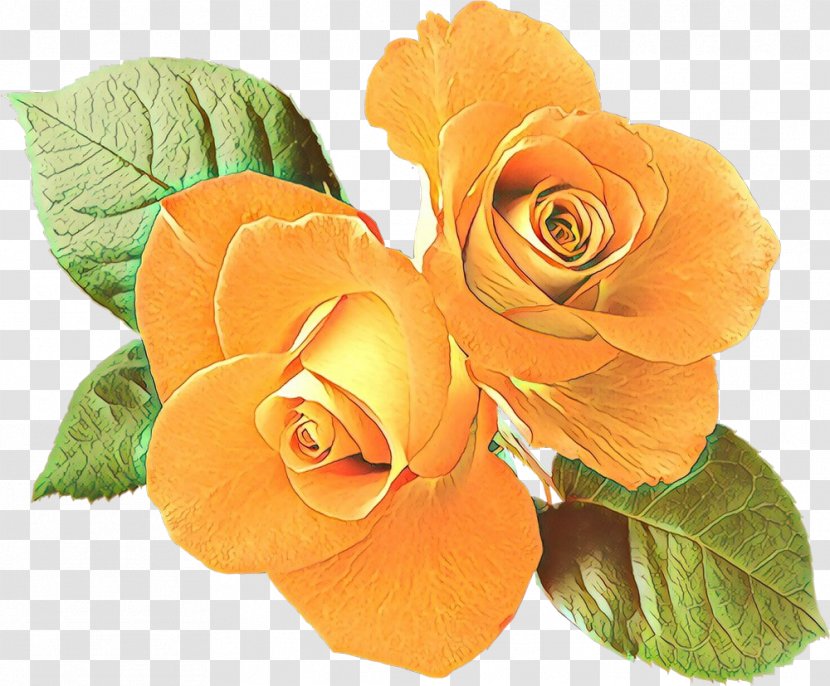 Garden Roses Floribunda Cut Flowers Petal - Plant - Artificial Flower Transparent PNG