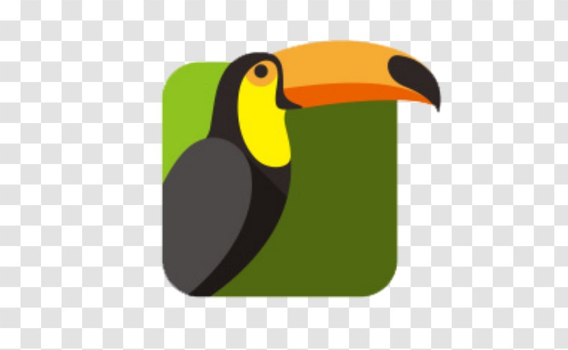 Toco Toucan Bird Drawing Parrot - Piciformes - Emperor Penguin Hornbill Transparent PNG