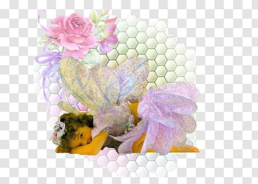 Down In The Garden Addresses: Rose Baby Amazon.com Little Thoughts With Love - Frame - Elf Fairy Transparent PNG